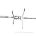 Galvanized barbed wire for protection